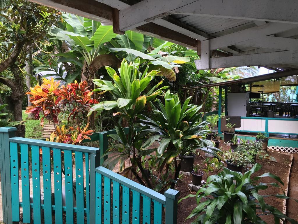 Wild Ginger Inn Hotel & Hostel 힐로 외부 사진