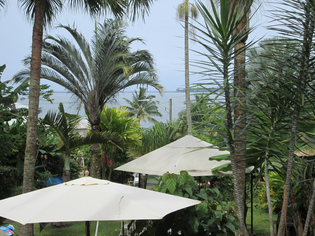 Wild Ginger Inn Hotel & Hostel 힐로 외부 사진